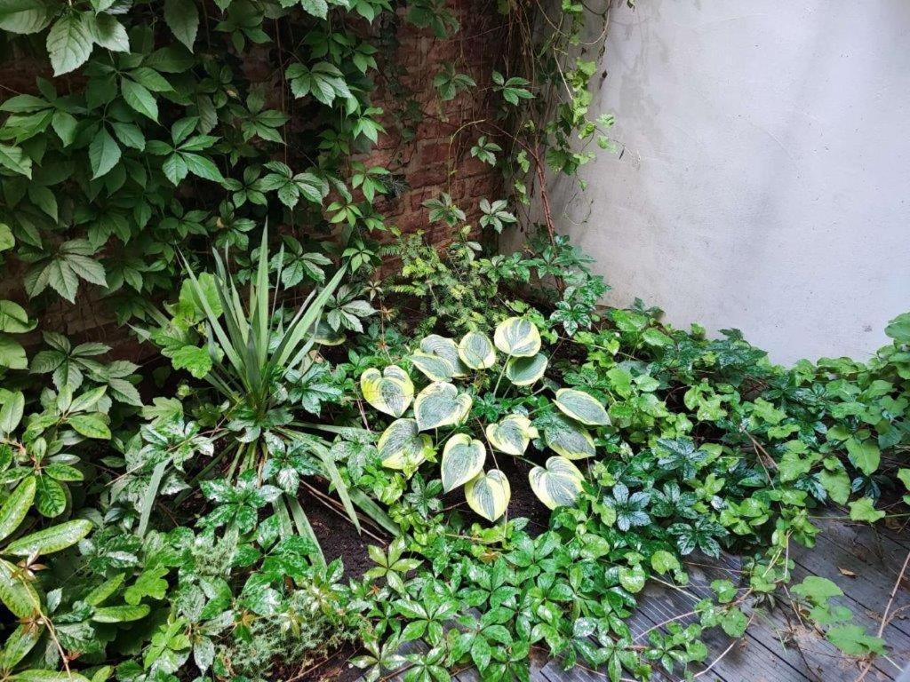 With Unique 40m2 Garden & Self Check In * Wien